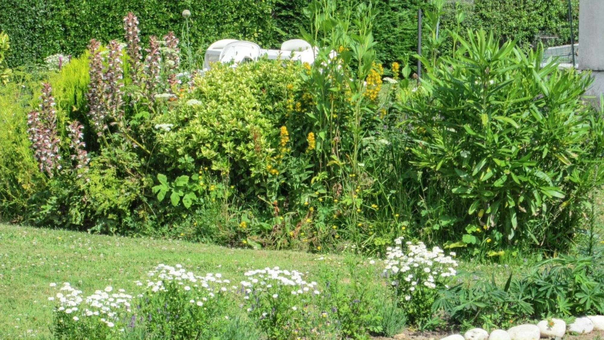 Studio Charmant A Vierville Sur Mer 30M² Avec Jardin 外观 照片